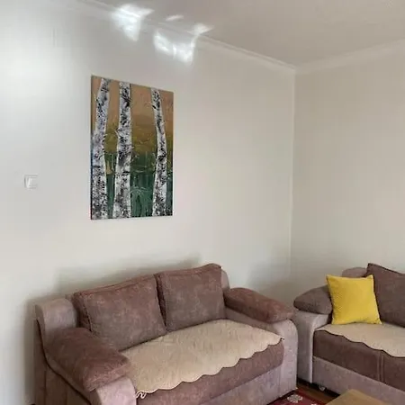 Center Zone Appartement